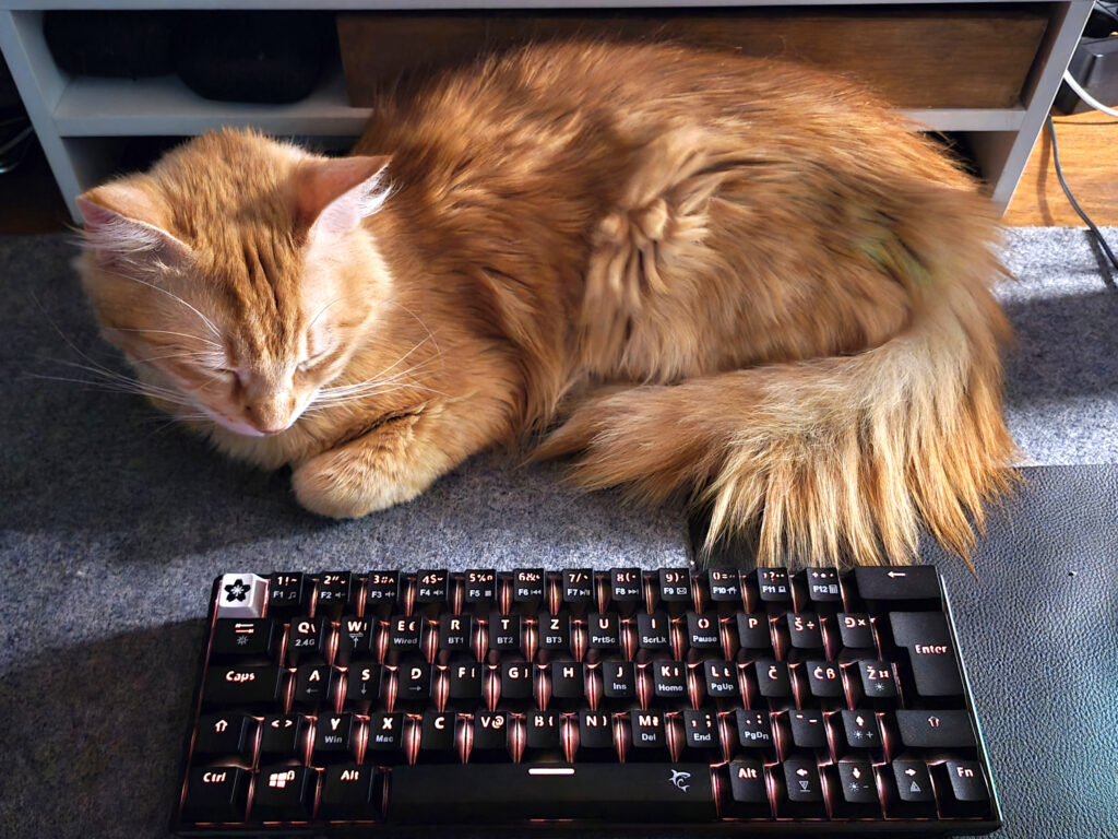 kazo_review_kaiken mehaničke tipkovnice